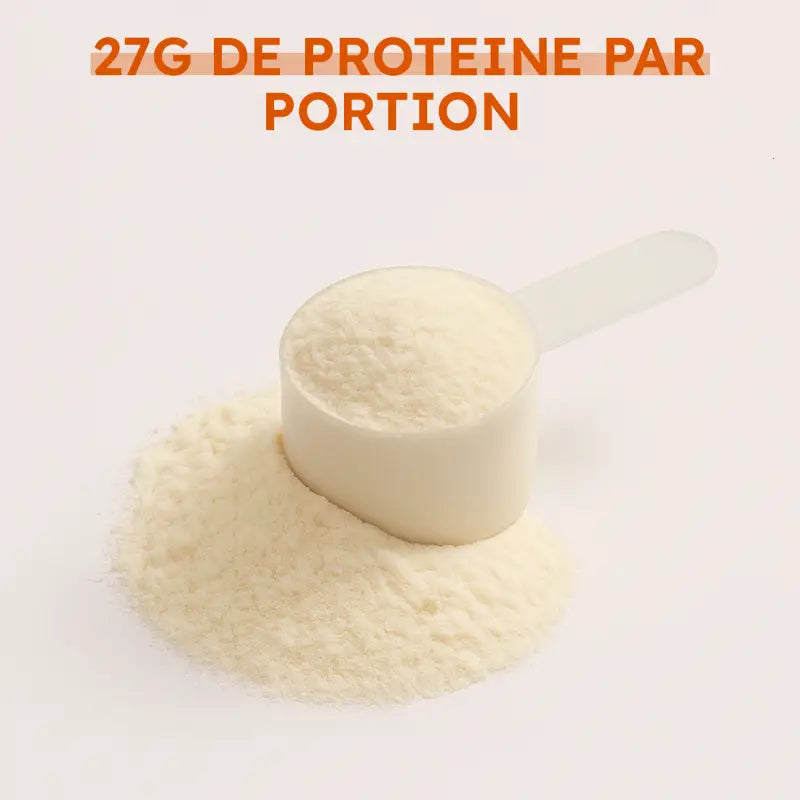 Poudre de protéine vanille avec cuillère doseuse, 27g de protéines nettes par portion.