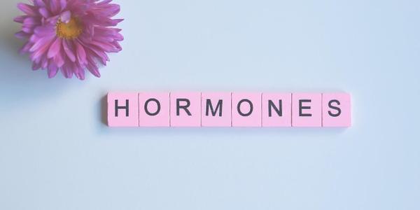 Hormones féminines: tout savoir