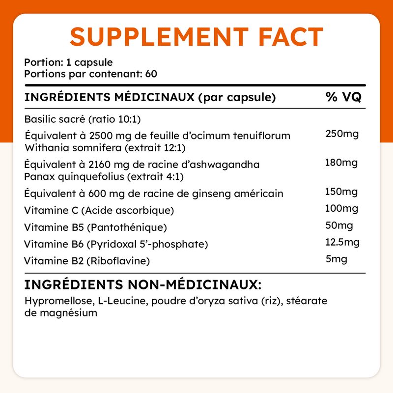 Ingrédients du Adapt Plus 2.0 par capsule : basilic sacré, ashwagandha, ginseng, vitamines B et C, avec ingrédients non médicinaux.