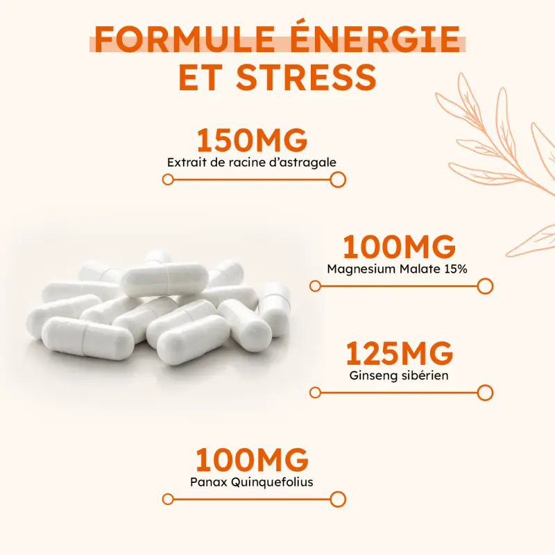 Capsules de Adreno Plus avec dosages : 150 mg astragale, 125 mg ginseng sibérien, 100 mg magnésium malate, 100 mg panax.
